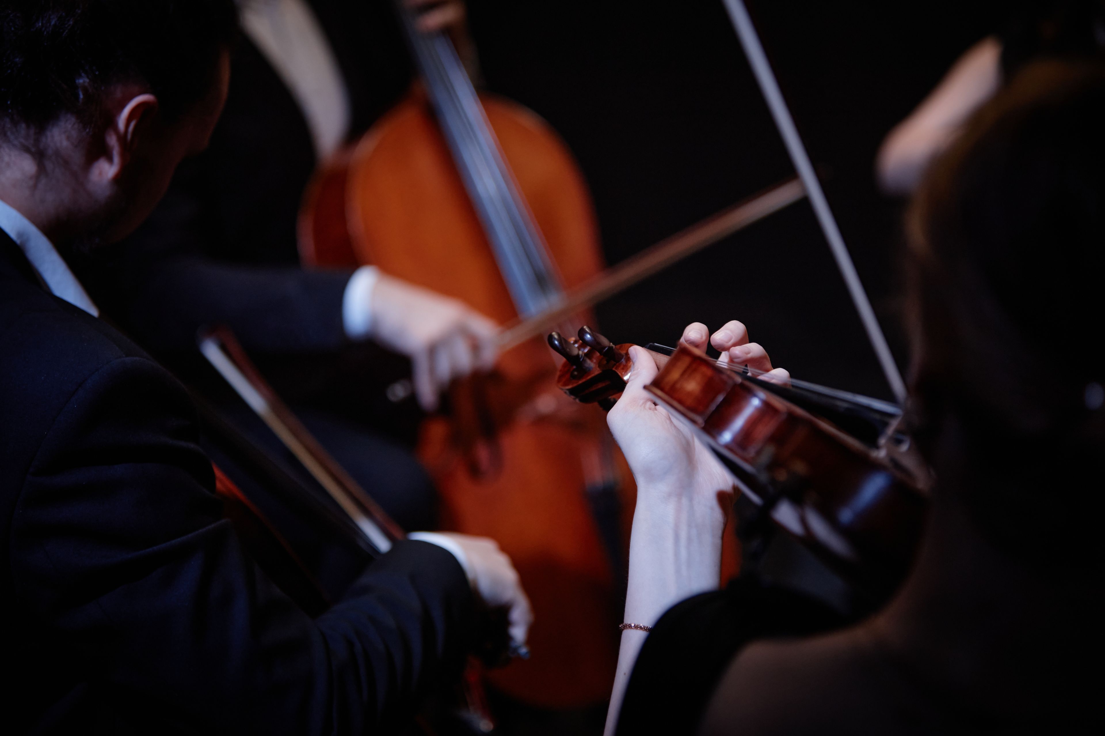 Close up of violins